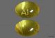 BENZONATATE 100MG CAP 100 |  (TESSELON)