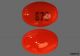 CALCITRIOL 0.25 MCG CAP 100 |  (ROCALTROL)