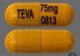 NORTRIPTYLINE 75 MG CAP 100 |  (PAMELOR)