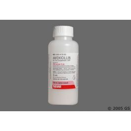 AMOXICILLIN 250 MG / 5 ML SUS 150 ML | (AMOXIL)